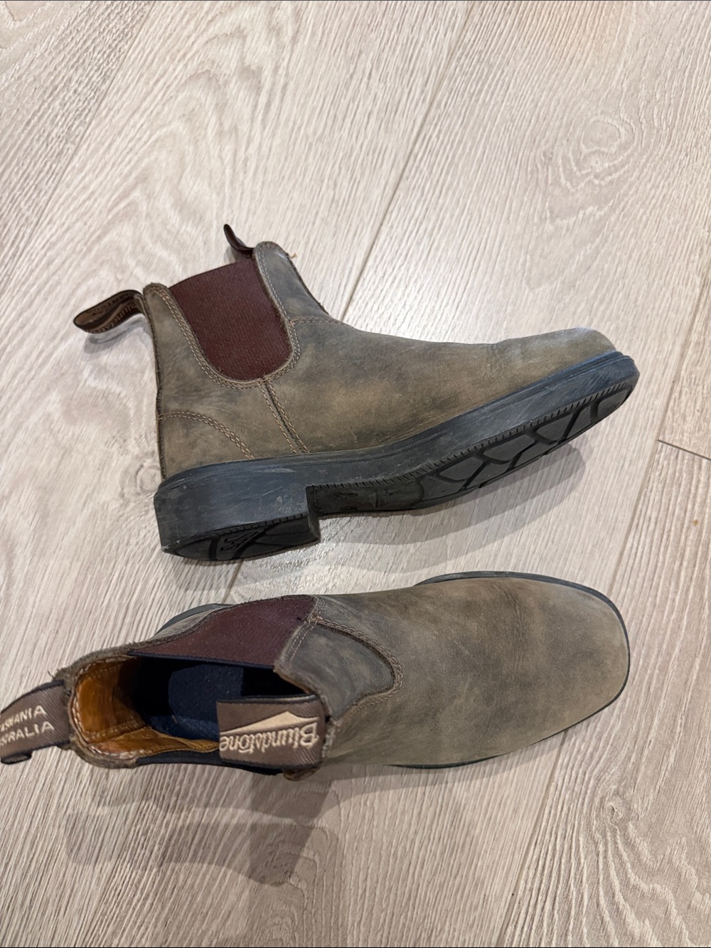 Blundstone Men's Chukka Boots in Brown with Maroon Elastic